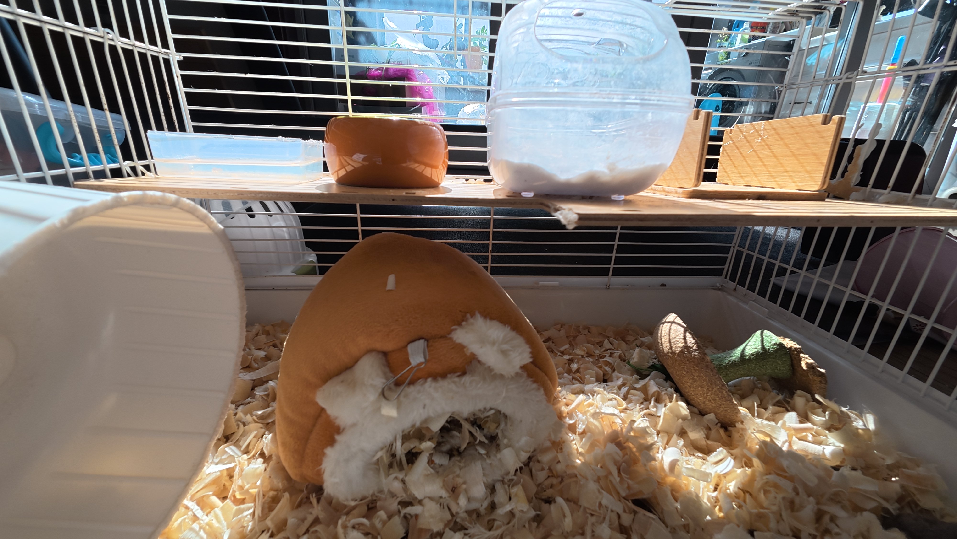 鼠屋